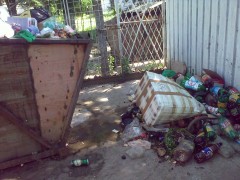 Selectarea ecologică a gunoiului pe str. E.C.Vodă
